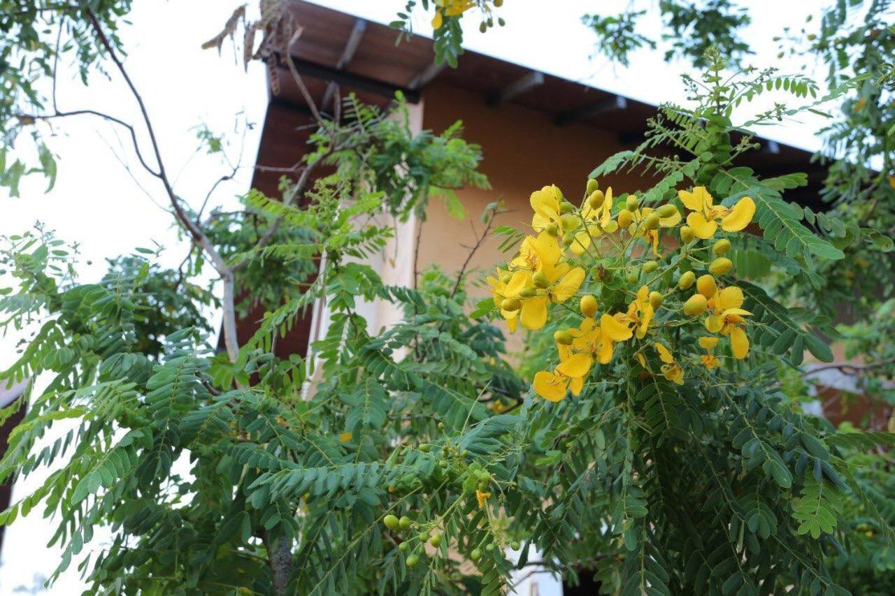 Hotel Lolu Village Anuradhapura